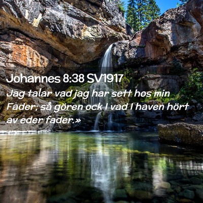 Picture 02 - Johannes 8:38 SV1917 - Jag talar vad jag har sett hos min Fader; så - Bible Verse Picture