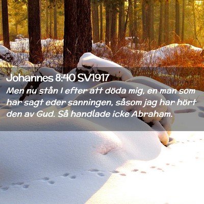 Picture 02 - Johannes 8:40 SV1917 - Men nu stån I efter att döda mig, en man som - Bible Verse Picture