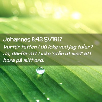 Picture 02 - Johannes 8:43 SV1917 - Varför fatten I då icke vad jag talar? Jo, - Bible Verse Picture