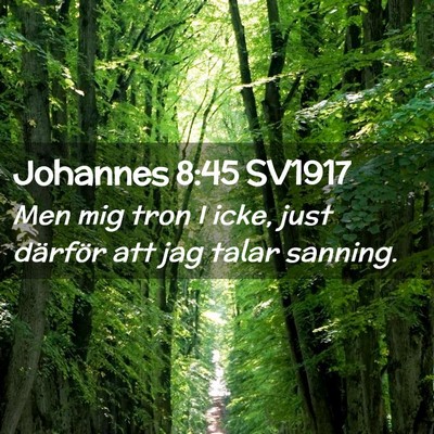 Picture 02 - Johannes 8:45 SV1917 - Men mig tron I icke, just därför att jag talar - Bible Verse Picture