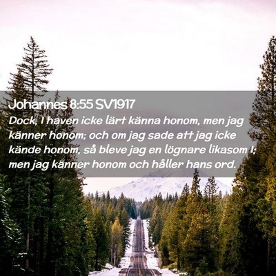 Picture 02 - Johannes 8:55 SV1917 - Dock, I haven icke lärt känna honom, men jag - Bible Verse Picture