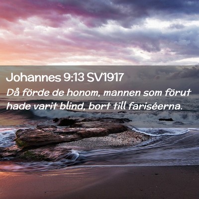 Picture 02 - Johannes 9:13 SV1917 - Då förde de honom, mannen som förut hade varit - Bible Verse Picture