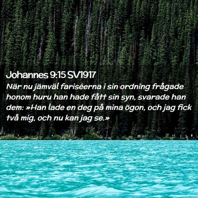 Picture 02 - Johannes 9:15 SV1917 - När nu jämväl fariséerna i sin ordning - Bible Verse Picture