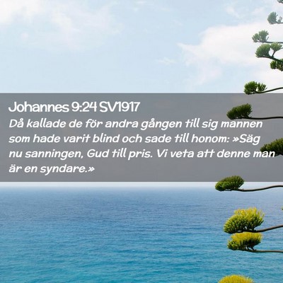 Picture 02 - Johannes 9:24 SV1917 - Då kallade de för andra gången till sig mannen - Bible Verse Picture