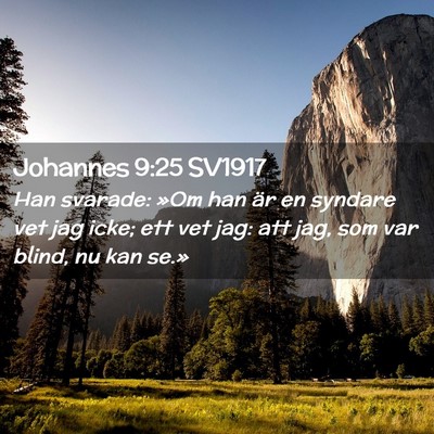 Picture 02 - Johannes 9:25 SV1917 - Han svarade: »Om han är en syndare vet jag - Bible Verse Picture