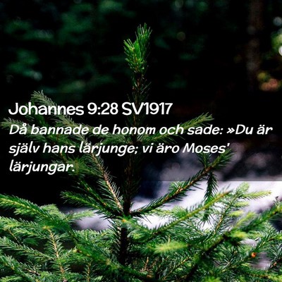 Picture 02 - Johannes 9:28 SV1917 - Då bannade de honom och sade: »Du är själv - Bible Verse Picture