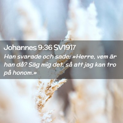 Picture 02 - Johannes 9:36 SV1917 - Han svarade och sade: »Herre, vem är han då? - Bible Verse Picture