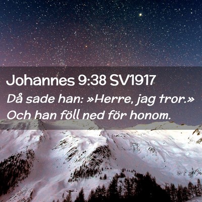 Picture 02 - Johannes 9:38 SV1917 - Då sade han: »Herre, jag tror.» Och han föll - Bible Verse Picture