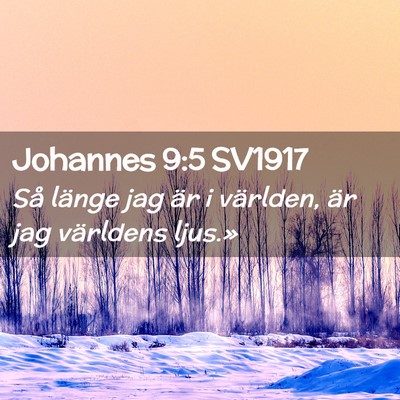 Picture 02 - Johannes 9:5 SV1917 - Så länge jag är i världen, är jag världens - Bible Verse Picture
