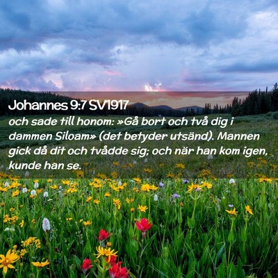 Picture 02 - Johannes 9:7 SV1917 - och sade till honom: »Gå bort och två dig i - Bible Verse Picture