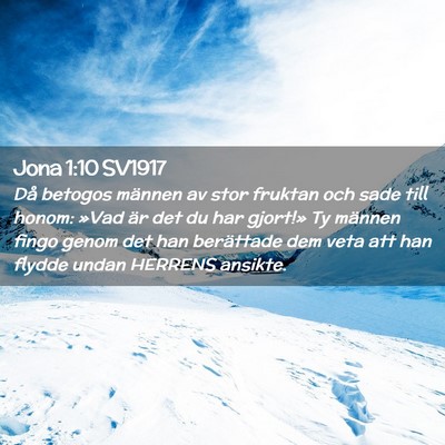 Picture 02 - Jona 1:10 SV1917 - Då betogos männen av stor fruktan och sade till - Bible Verse Picture