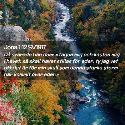 Picture 02 - Jona 1:12 SV1917 - Då svarade han dem: »Tagen mig och kasten mig i - Bible Verse Picture