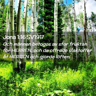 Picture 02 - Jona 1:16 SV1917 - Och männen betogos av stor fruktan för HERREN, - Bible Verse Picture