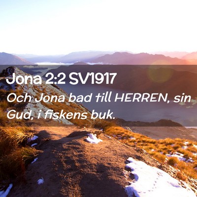 Picture 02 - Jona 2:2 SV1917 - Och Jona bad till HERREN, sin Gud, i fiskens - Bible Verse Picture
