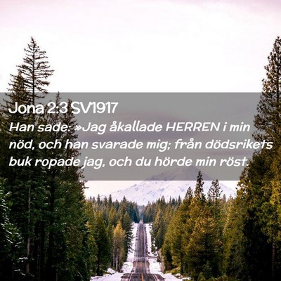 Picture 02 - Jona 2:3 SV1917 - Han sade: »Jag åkallade HERREN i min nöd, och - Bible Verse Picture