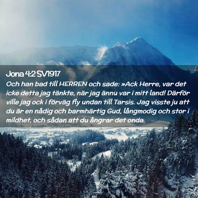 Picture 02 - Jona 4:2 SV1917 - Och han bad till HERREN och sade: »Ack Herre, - Bible Verse Picture