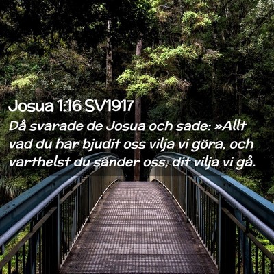 Picture 02 - Josua 1:16 SV1917 - Då svarade de Josua och sade: »Allt vad du har - Bible Verse Picture