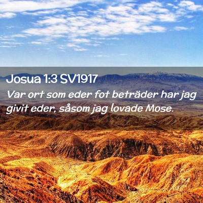 Picture 02 - Josua 1:3 SV1917 - Var ort som eder fot beträder har jag givit - Bible Verse Picture
