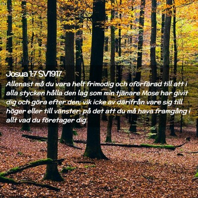 Picture 02 - Josua 1:7 SV1917 - Allenast må du vara helt frimodig och - Bible Verse Picture