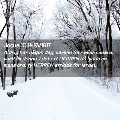 Picture 02 - Josua 10:14 SV1917 - Aldrig har någon dag, varken förr eller senare, - Bible Verse Picture