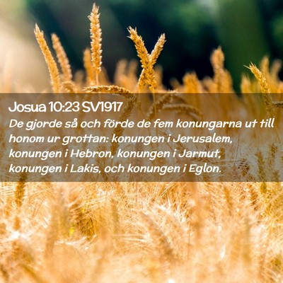 Picture 02 - Josua 10:23 SV1917 - De gjorde så och förde de fem konungarna ut - Bible Verse Picture