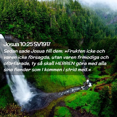 Picture 02 - Josua 10:25 SV1917 - Sedan sade Josua till dem: »Frukten icke och - Bible Verse Picture
