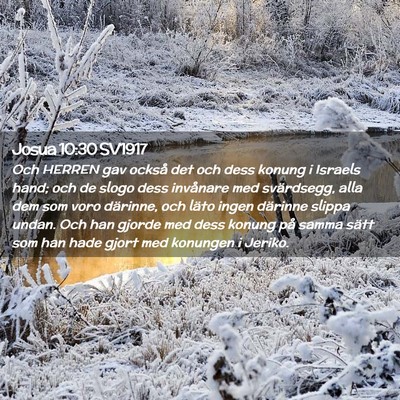 Picture 02 - Josua 10:30 SV1917 - Och HERREN gav också det och dess konung i - Bible Verse Picture