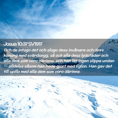 Picture 02 - Josua 10:37 SV1917 - Och de intogo det och slogo dess invånare och - Bible Verse Picture