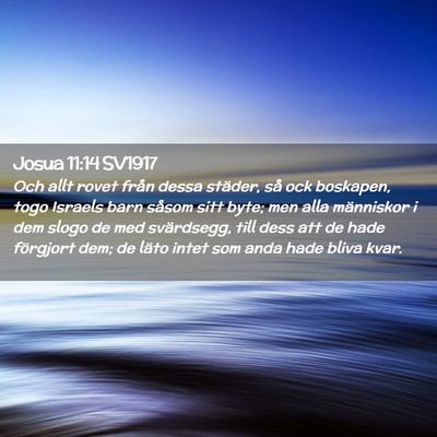 Picture 02 - Josua 11:14 SV1917 - Och allt rovet från dessa städer, så ock - Bible Verse Picture