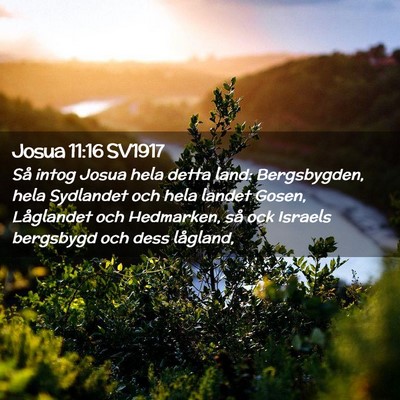 Picture 02 - Josua 11:16 SV1917 - Så intog Josua hela detta land: Bergsbygden, - Bible Verse Picture