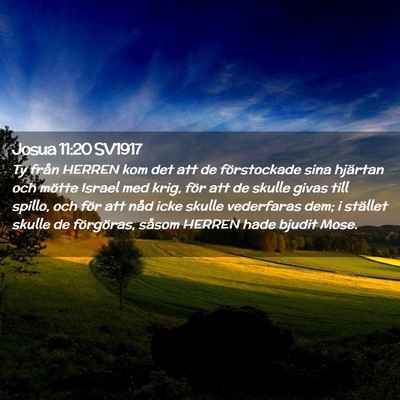 Picture 02 - Josua 11:20 SV1917 - Ty från HERREN kom det att de förstockade sina - Bible Verse Picture