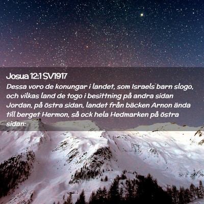 Picture 02 - Josua 12:1 SV1917 - Dessa voro de konungar i landet, som Israels barn - Bible Verse Picture