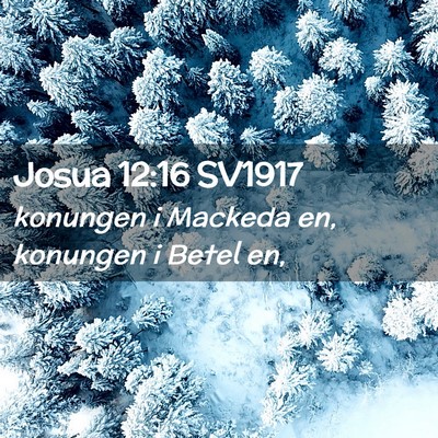 Picture 02 - Josua 12:16 SV1917 - konungen i Mackeda en, konungen i Betel - Bible Verse Picture