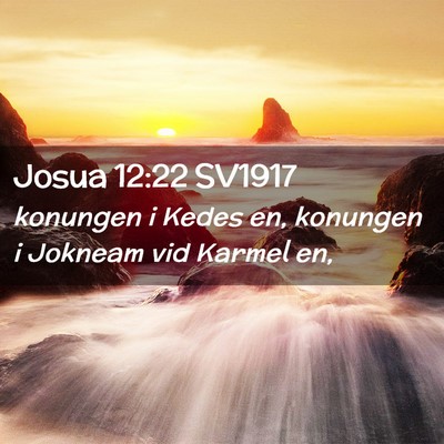 Picture 02 - Josua 12:22 SV1917 - konungen i Kedes en, konungen i Jokneam vid - Bible Verse Picture