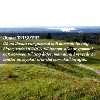 Picture 02 - Josua 13:1 SV1917 - Då nu Josua var gammal och kommen till hög - Bible Verse Picture