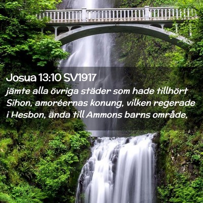 Picture 02 - Josua 13:10 SV1917 - jämte alla övriga städer som hade tillhört - Bible Verse Picture