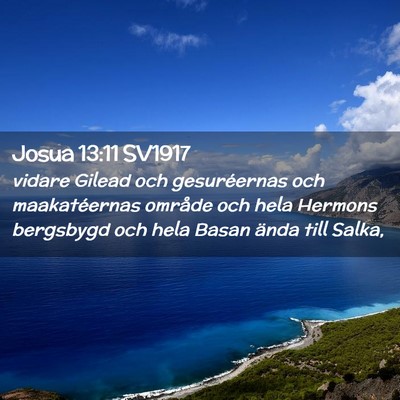 Picture 02 - Josua 13:11 SV1917 - vidare Gilead och gesuréernas och maakatéernas - Bible Verse Picture
