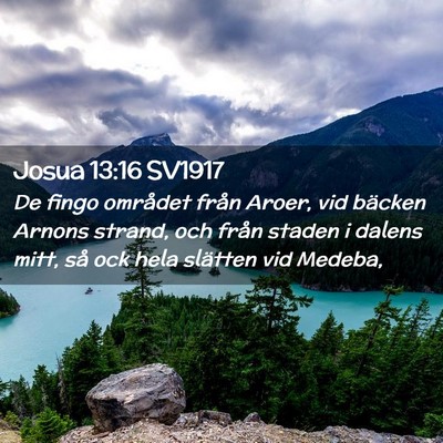Picture 02 - Josua 13:16 SV1917 - De fingo området från Aroer, vid bäcken Arnons - Bible Verse Picture