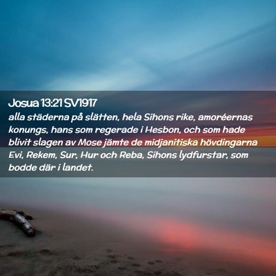 Picture 02 - Josua 13:21 SV1917 - alla städerna på slätten, hela Sihons rike, - Bible Verse Picture
