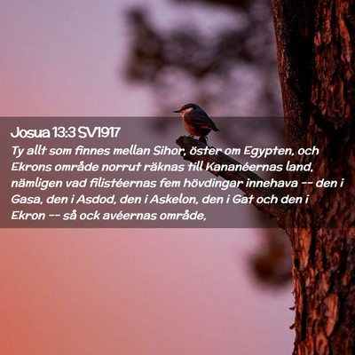Picture 02 - Josua 13:3 SV1917 - Ty allt som finnes mellan Sihor, öster om - Bible Verse Picture