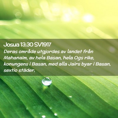 Picture 02 - Josua 13:30 SV1917 - Deras område utgjordes av landet från Mahanaim, - Bible Verse Picture
