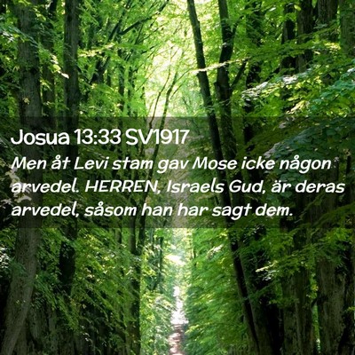 Picture 02 - Josua 13:33 SV1917 - Men åt Levi stam gav Mose icke någon arvedel. - Bible Verse Picture