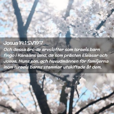 Picture 02 - Josua 14:1 SV1917 - Och dessa äro de arvslotter som Israels barn - Bible Verse Picture