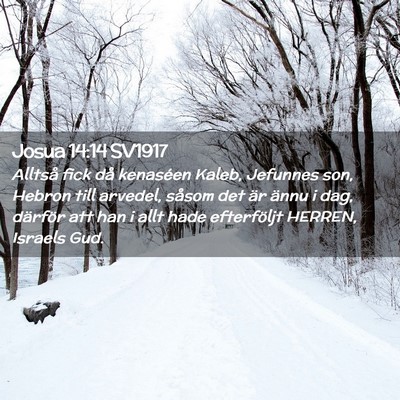 Picture 02 - Josua 14:14 SV1917 - Alltså fick då kenaséen Kaleb, Jefunnes son, - Bible Verse Picture