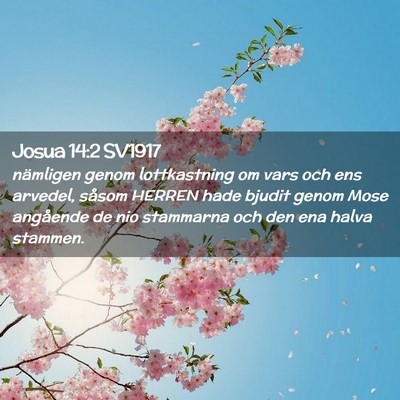 Picture 02 - Josua 14:2 SV1917 - nämligen genom lottkastning om vars och ens - Bible Verse Picture