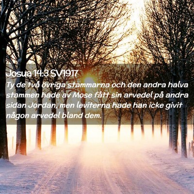 Picture 02 - Josua 14:3 SV1917 - Ty de två övriga stammarna och den andra halva - Bible Verse Picture