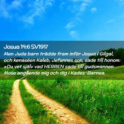 Picture 02 - Josua 14:6 SV1917 - Men Juda barn trädde fram inför Josua i Gilgal, - Bible Verse Picture