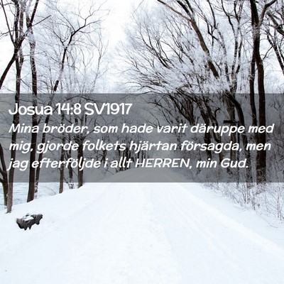 Picture 02 - Josua 14:8 SV1917 - Mina bröder, som hade varit däruppe med mig, - Bible Verse Picture