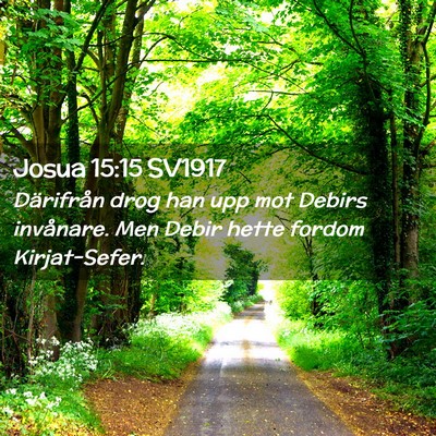 Picture 02 - Josua 15:15 SV1917 - Därifrån drog han upp mot Debirs invånare. Men - Bible Verse Picture