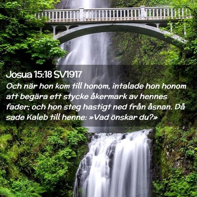 Picture 02 - Josua 15:18 SV1917 - Och när hon kom till honom, intalade hon honom - Bible Verse Picture